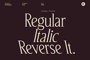 CS Allegory – Elegant Serif Font, a Serif Font by Craft Supply Co. (Thumbnail 3 of 8)