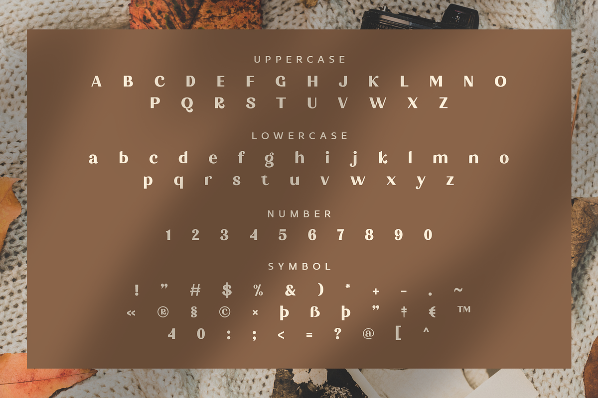 Forbiden Classy Sans Serif, a Sans Serif Font by Glyphstyle (Photo 4 of 6)