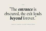 Cadera Serif | 162 Font Files, a Serif Font by Ws Studio (Thumbnail 4 of 12)