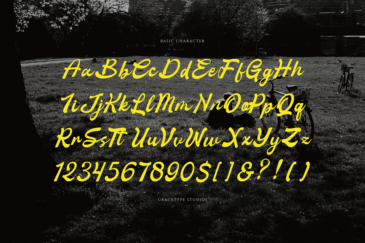 Anchora Anchord | Handwritten Script, a Script Font by gracetype_studio (Photo 10 of 12)
