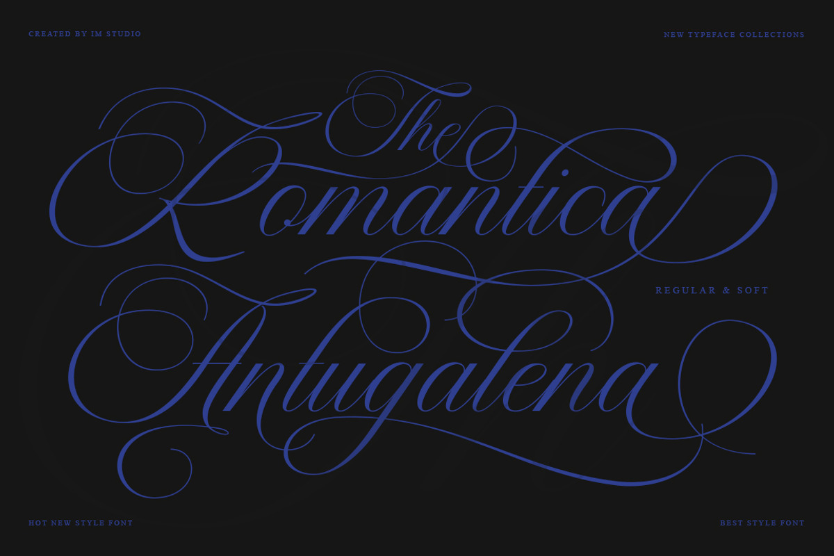 Bailentia Calligraphy, a Script Font by IM Studio (Photo 8 of 10)