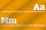 Gatron, a Slab Serif Font by Compaq_Creative (Thumbnail 3 of 7)