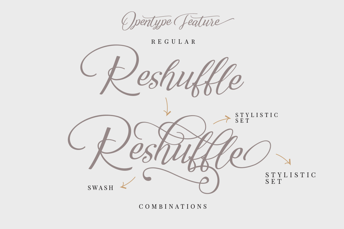 Reshuffle Script Font Set preview 3