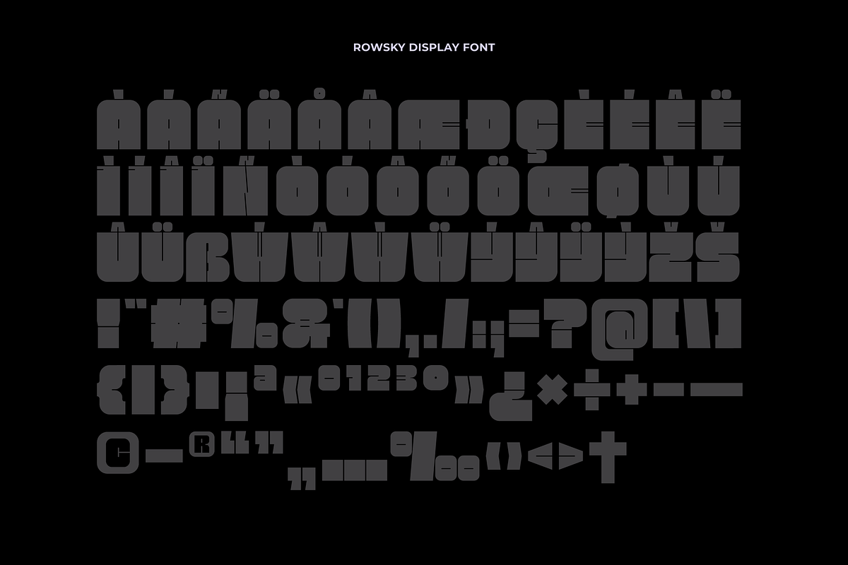 Rowsky - Bold Font, a Sans Serif Font by limitype (Photo 9 of 10)
