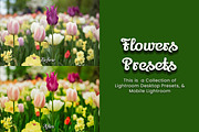 30 Flowers Lightroom Collection, a Preset Add-On by 3Motional (Thumbnail 4 of 11)