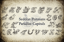 Seddon Penmans Paradise Capitals