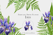 Watercolor Iris Birth Flower Clipart, an Illustration by Ksenia Shmakova (Thumbnail 1 of 6)