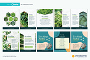 40 Instagram Post Templates - Canva, a Templates & Theme by LyonCreatives (Thumbnail 2 of 7)