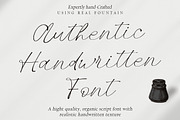Rolsting Script, a Script Font by Rastype (Thumbnail 3 of 11)