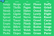 Lastik Font Family 5 Styles, a Font by That That Creative (Thumbnail 2 of 15)