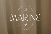 Wordmark - Display Logo Font, a Sans Serif Font by Hamz Studio (Thumbnail 8 of 15)
