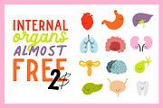 Internal Organs, a Photo by Anna (Thumbnail 1 of 2)