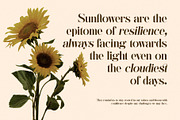 Bosting Elegant Ligature Serif Font, a Serif Font by Graphicxell (Thumbnail 2 of 10)