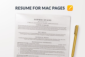 Minimal Clean Resume Template Pages