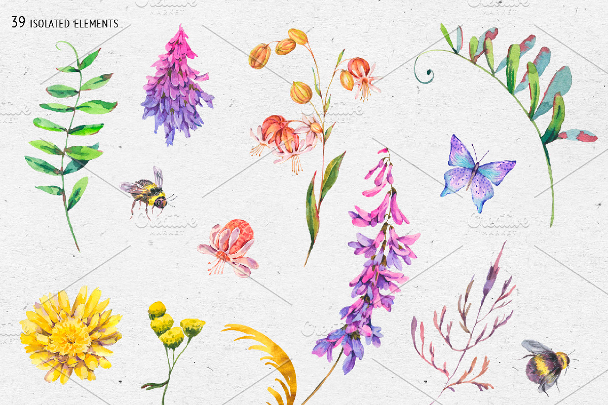 Watercolor meadow herbs&flowers, an Illustration by Depiano (Photo 4 of 19)