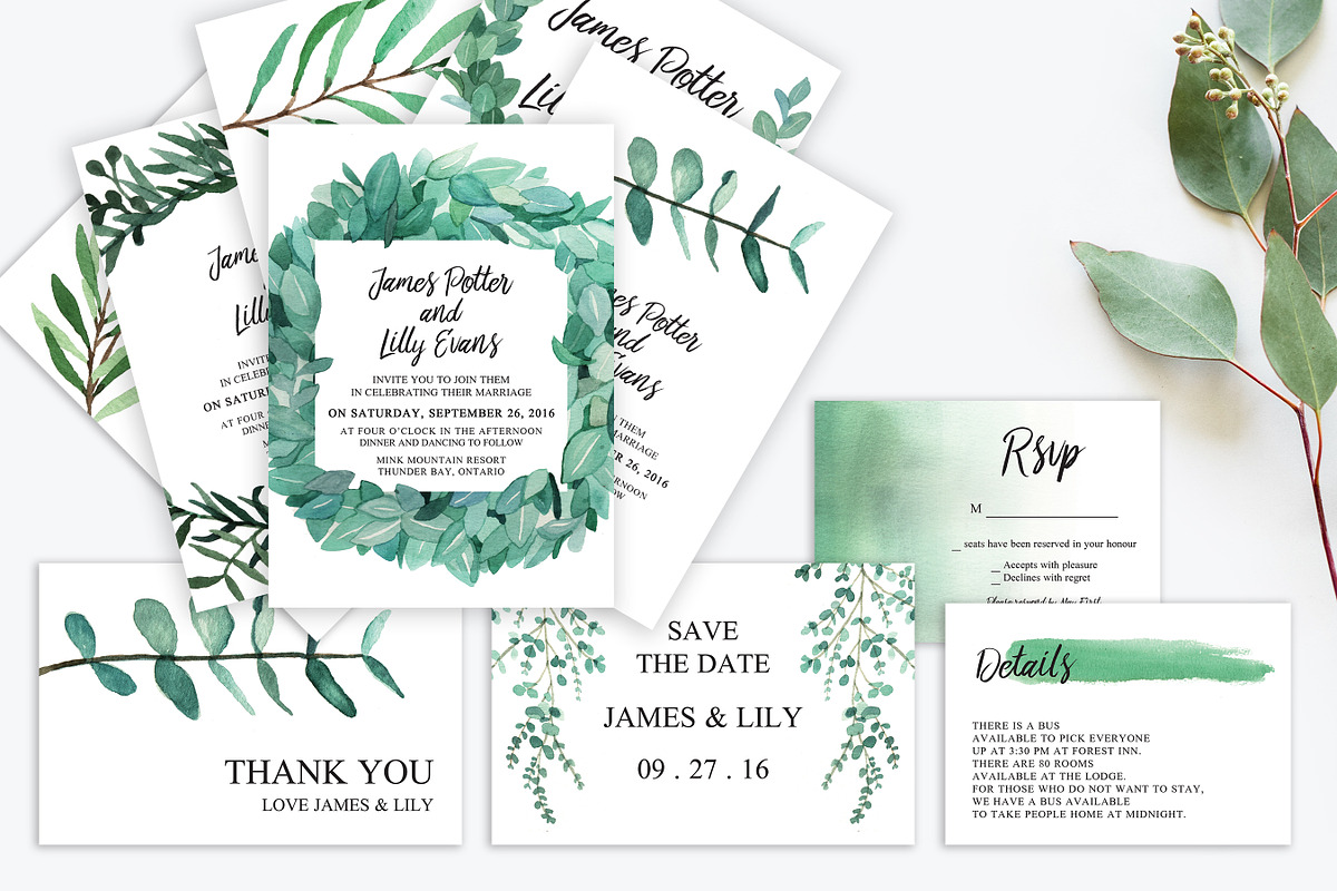 Tremendous Eucalyptus Collection, an Invitation Template by Knotted Design (Photo 2 of 24)