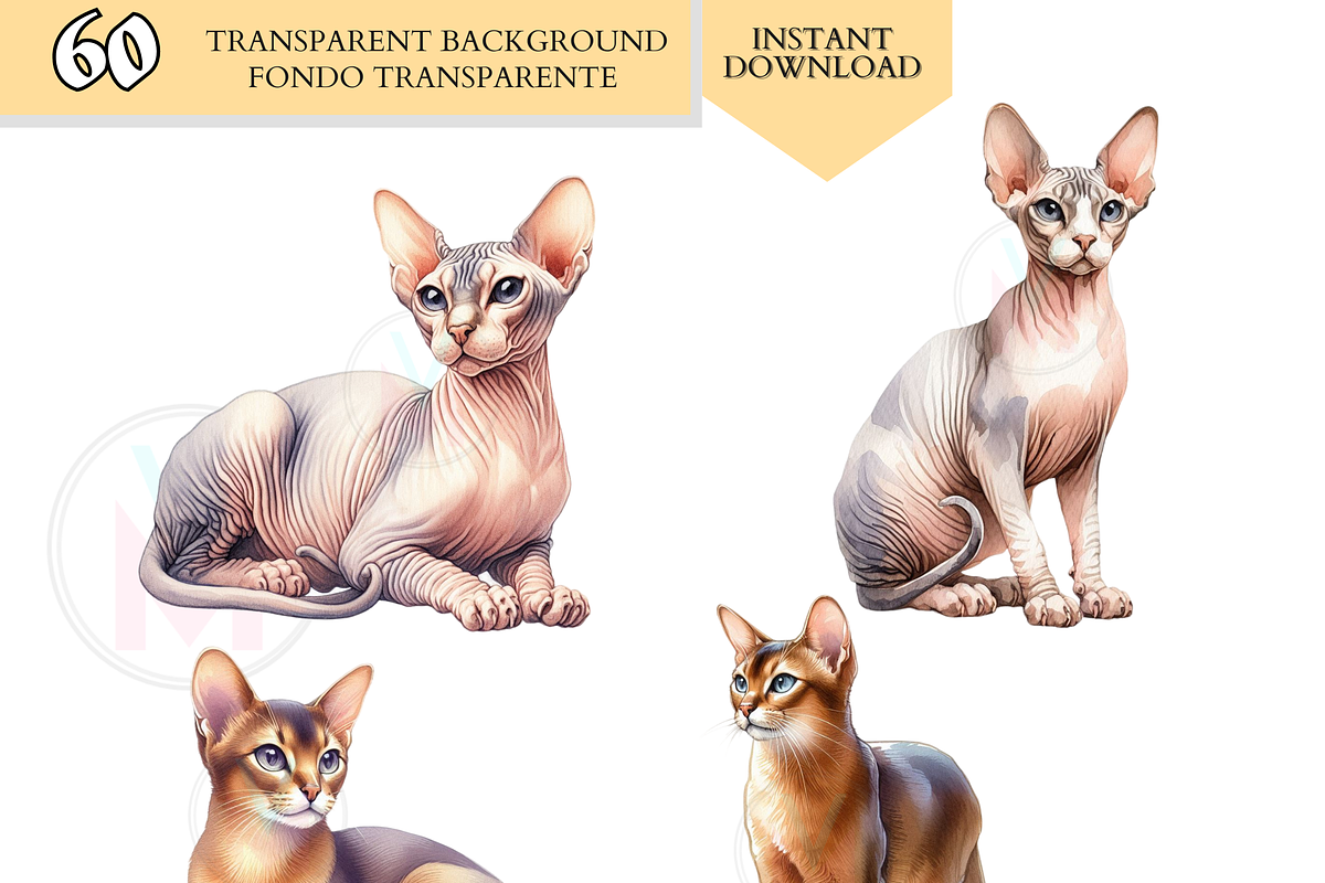 Cat Breeds PNG Bundle Cats Clipart, an Animal Illustration by VM PARTYS  BY TAIRUMA (Photo 6 of 10)