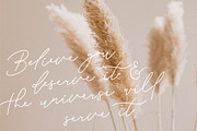 Chantelle | Handwritten Script Font, a Handwritten Font by Monterey Studio (Thumbnail 6 of 8)