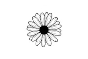 Daisy Flower Line Art Vector Bundle0, an Illustration by jahid234 (Thumbnail 17 of 51)