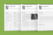 Big Set of Professional Resumes 1, a Resume Template by DEFNST (Thumbnail 14 of 14)