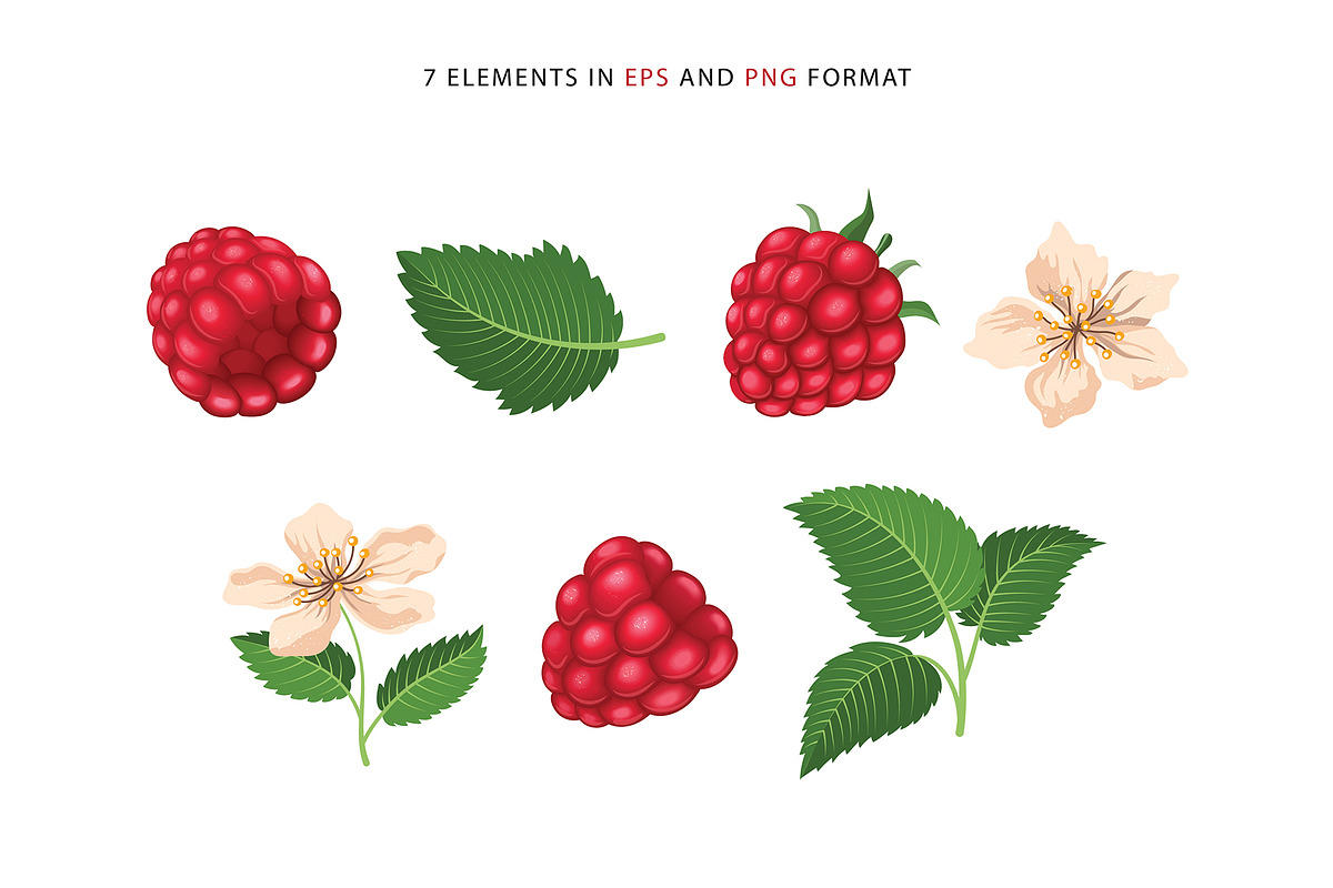 Delicious raspberries vector set, a Graphic by natamastery (Photo 2 of 8)