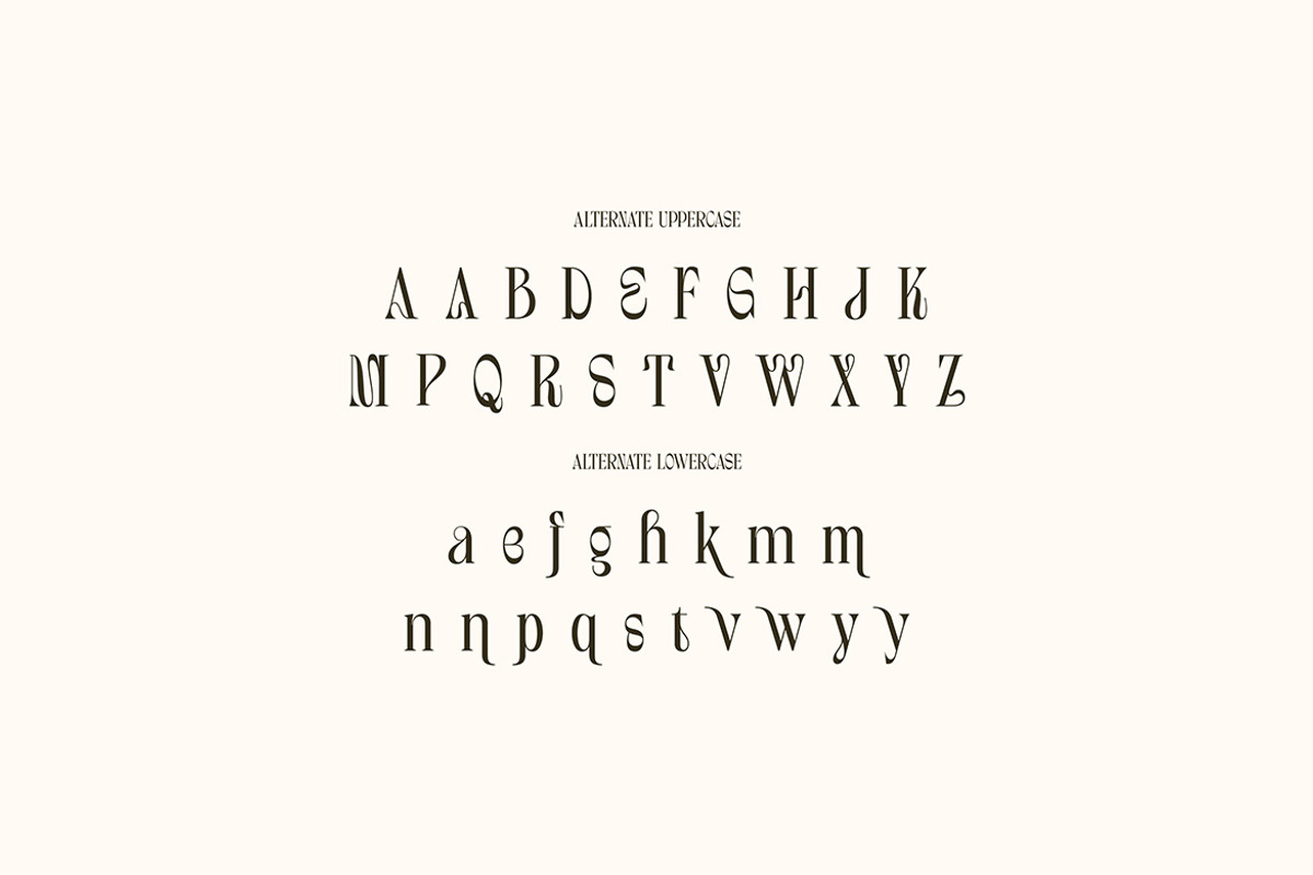 Valerie Howard Creative Serif, a Serif Font by Cruzine (Photo 5 of 7)