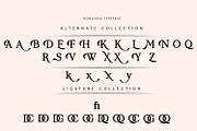 Koolvexa | A Modern Slab Serif, a Slab Serif Font by Qaratype (Thumbnail 16 of 16)