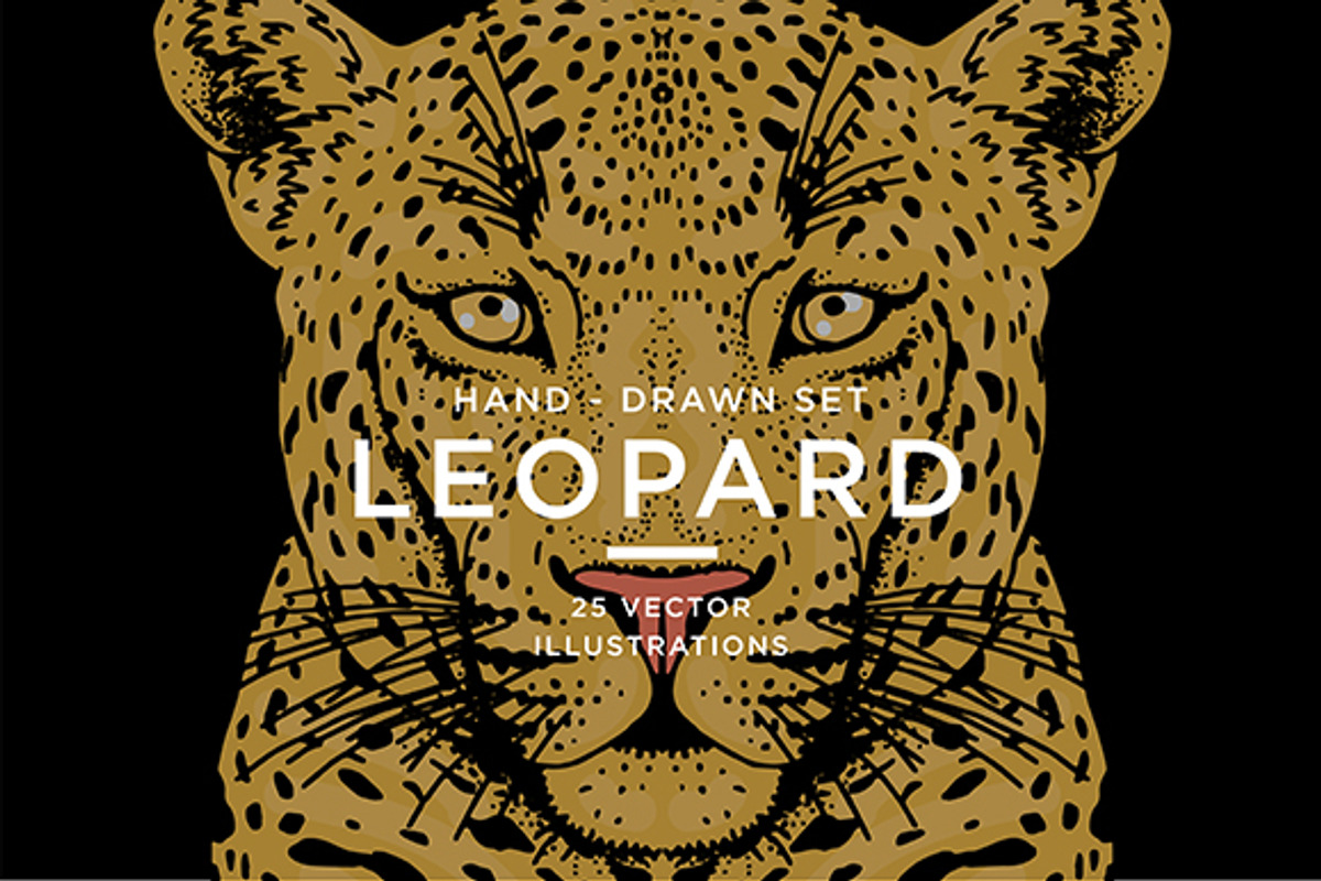 LEOPARD, an Animal Illustration by Tanya Akhmett (Photo 1 of 9)