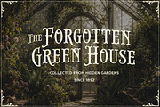 Brindley Houston Display Serif, a Serif Font by Letterhend Studio (Thumbnail 3 of 11)