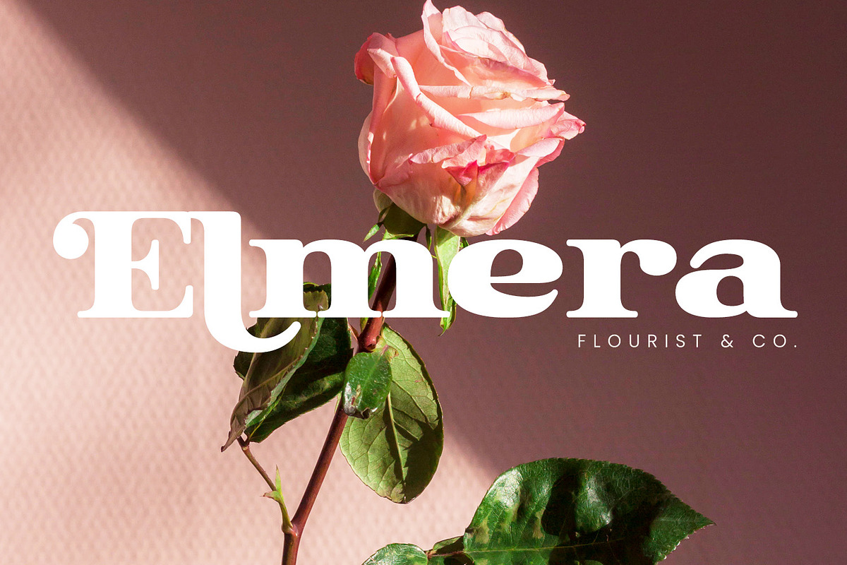Collonie, a Serif Font by yumnatype (Photo 3 of 10)