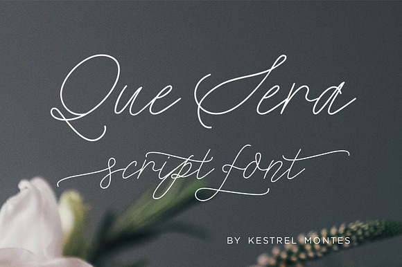Que Sera Monoline Script preview 8