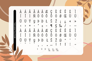 Fox Playing Font