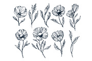 Hand drawn isolated flowers set, an Object Graphic by SpaceNymph (Thumbnail 2 of 5)