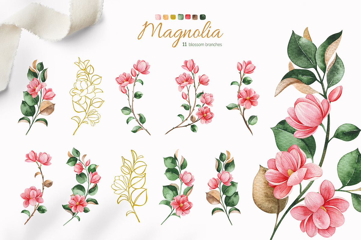 Magnolia. Gentle Floral Collection, a Decorative Illustration by Kate_Rina (Photo 3 of 8)