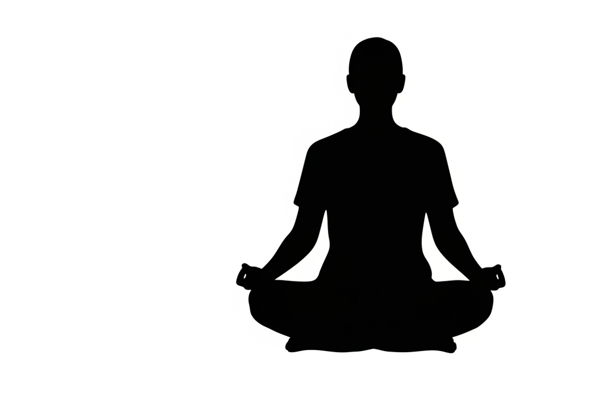 peaceful moment silhouette, an Illustration by Amazin_art (Photo 28 of 46)