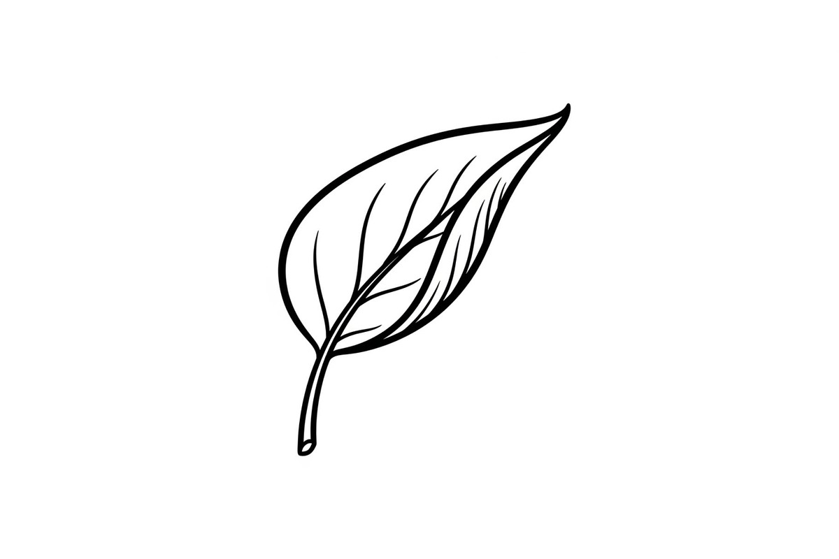 Hand Drawn Leaf Line Art Bundle, an Illustration by hafijul (Photo 9 of 51)