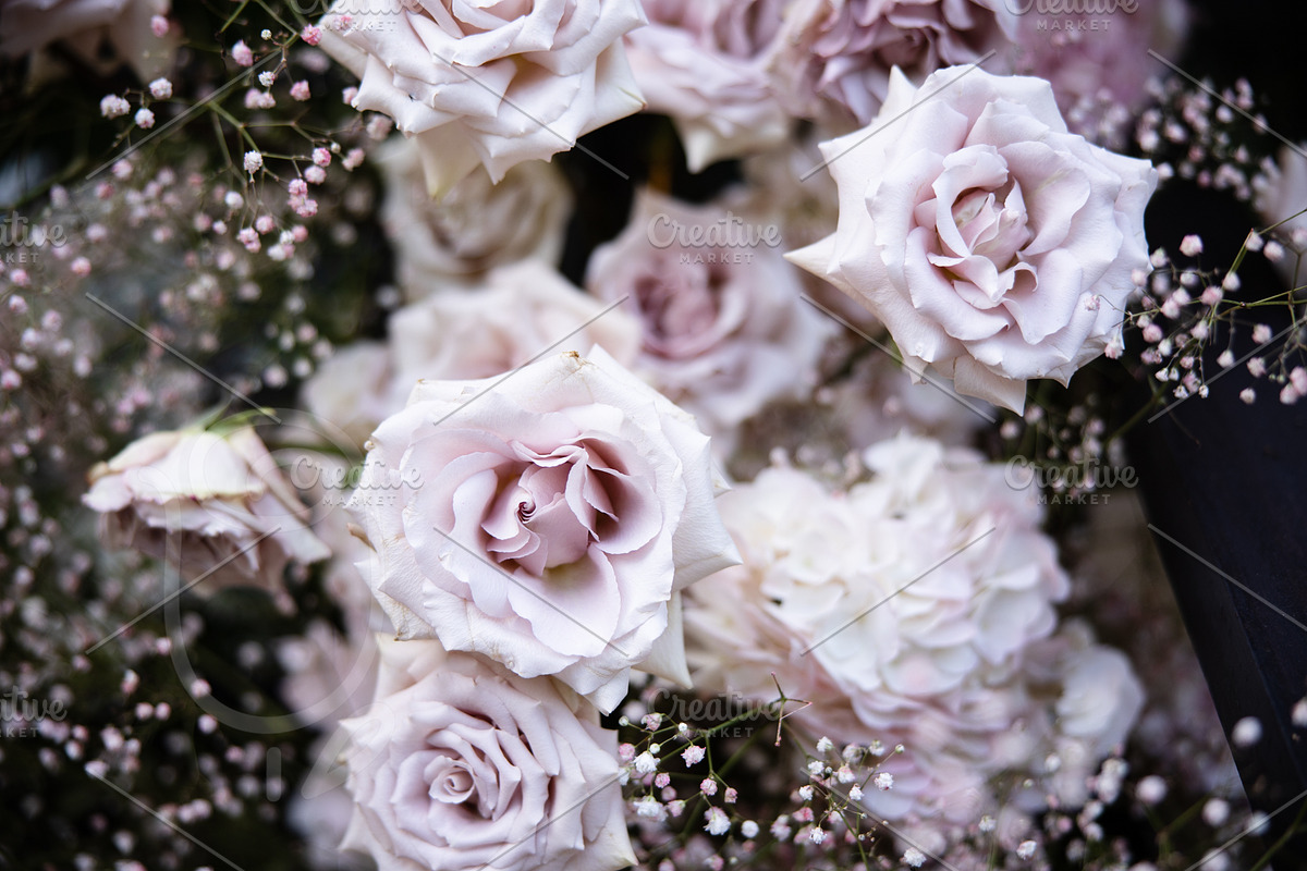 A Garden of Roses | Wedding, Events, a Nature Photo by Farewell (Photo 38 of 41)
