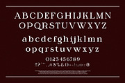 Billker Elegant Ligature Serif, a Serif Font by Alfinart (Thumbnail 7 of 10)
