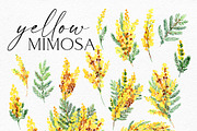 Yellow Mimosa Sunshine, an Illustration by Olga Koelsch (Thumbnail 6 of 7)