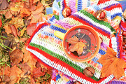 Autumn Tea & Rustic Details, a Food & Drink Photo by pictures for you (Thumbnail 6 of 11)