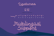 Alibon Arabic Typeface, a Serif Font by alit design (Thumbnail 10 of 16)