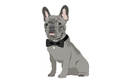 French Bulldog Vector Illustrations, an Animal Illustration by Putnam Road Art (Thumbnail 3 of 5)