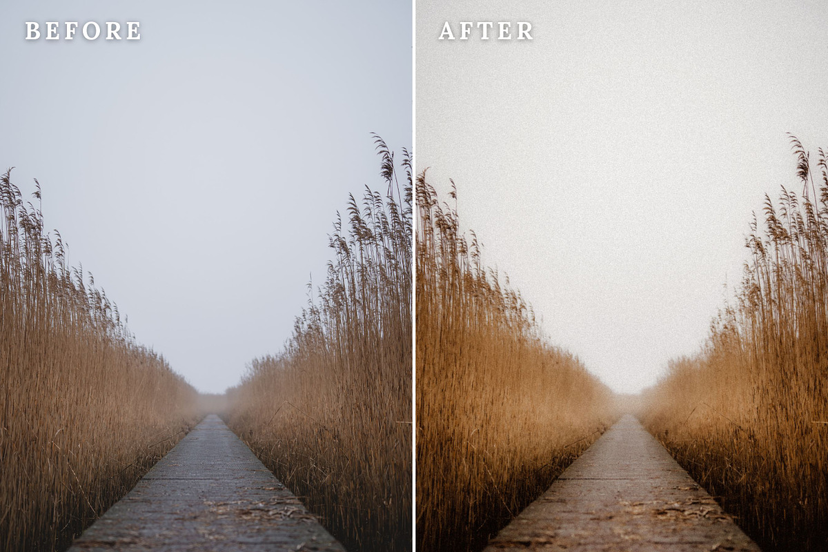 Dreamy Lightroom Presets, a Preset Add-On by Rapita Photography© (Photo 10 of 10)