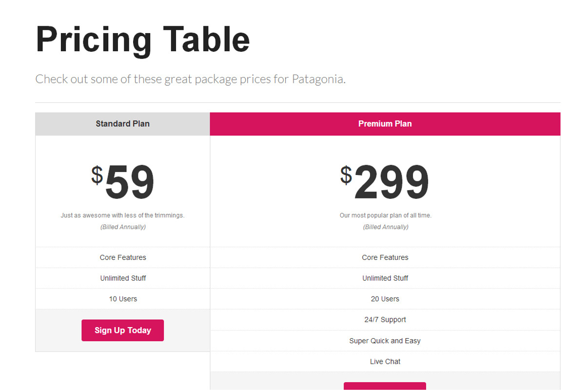 Patagonia Responsive Landing Page, a Landing Page Template by themechills (Photo 3 of 3)