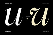 Alerigue — Editorial Serif Font, a Serif Font by Black Junst (Thumbnail 8 of 16)