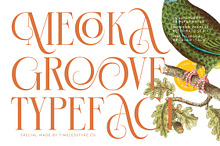 Mecoka Groove Elegant Serif Font