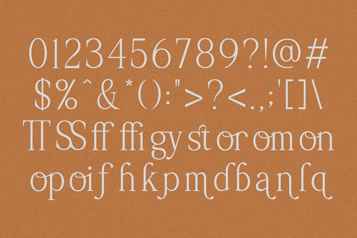 Palmorine | A Modern Serif Typeface, a Serif Font by Typoraith Co (Photo 10 of 10)