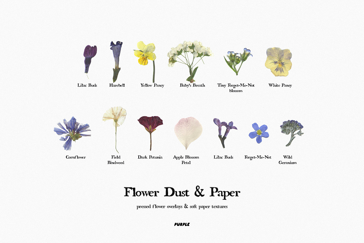 Flower Dust Overlays & Paper Texture, a Texture Graphic by Purple (Photo 8 of 15)
