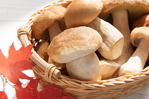 Fresh porcini mushrooms in basket with autumn leaves, a Food & Drink Photo by Olena Rudo