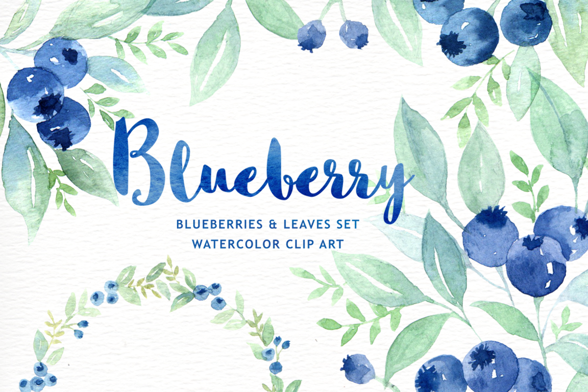 Blueberry watercolor clipart, an Illustration by everysunsun (Photo 1 of 4)